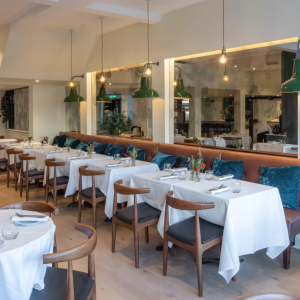 Orion Wimbledon Village